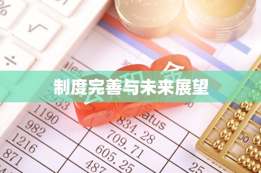 企石制度完善与未来展望