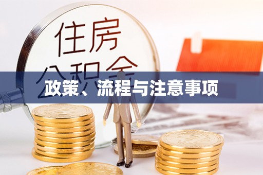 企石政策、流程与注意事项