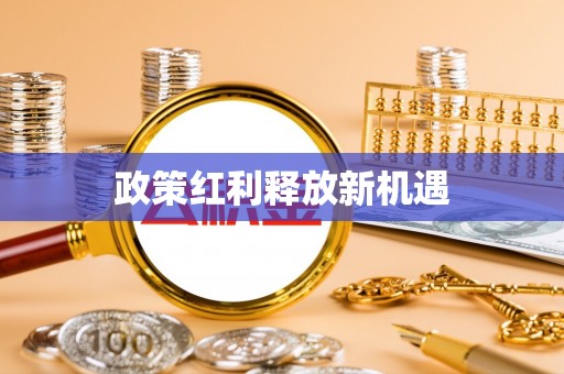 企石政策红利释放新机遇