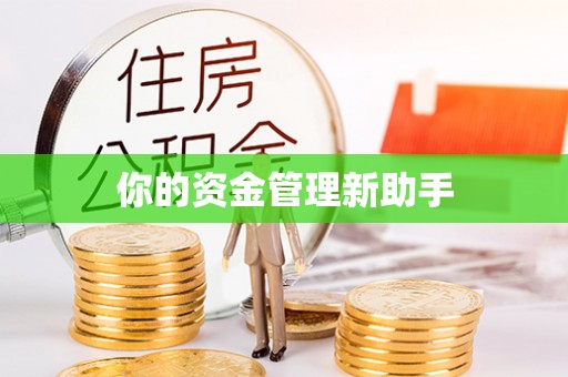 企石你的资金管理新助手