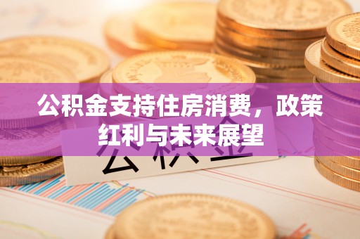 企石公积金支持住房消费，政策红利与未来展望