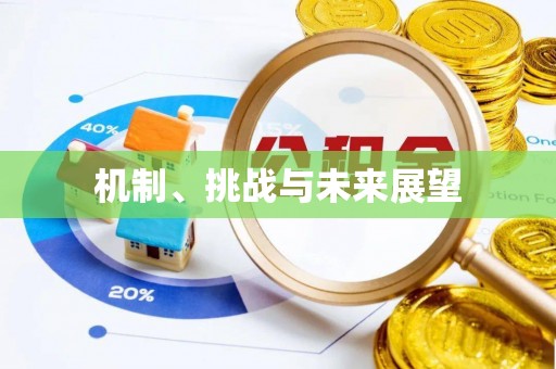 企石机制、挑战与未来展望
